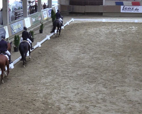 Reitturnier Oelde 2025