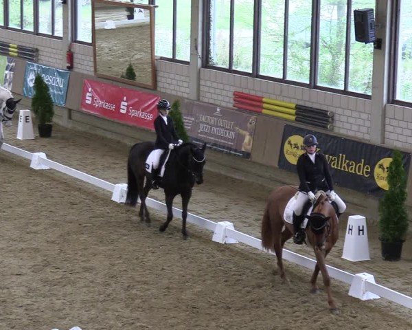 Reitturnier Oelde 2025