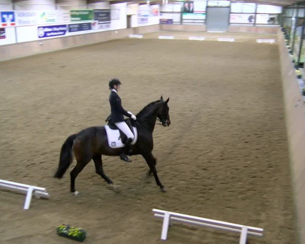 Reitturnier Rhede 2025