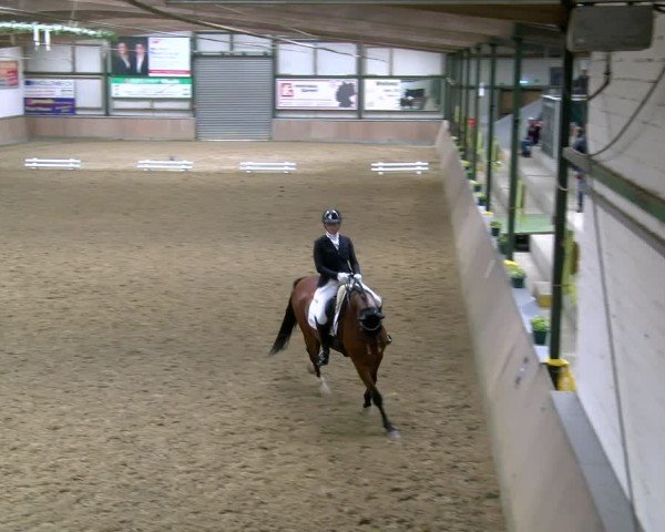 Reitturnier Rhede 2025