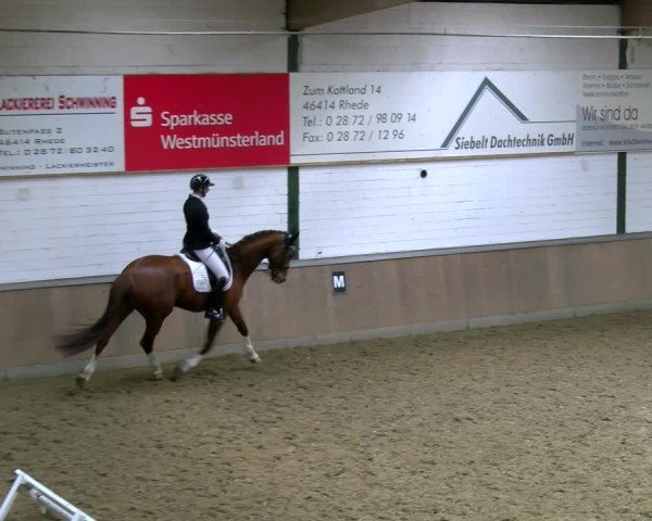 Reitturnier Rhede 2025