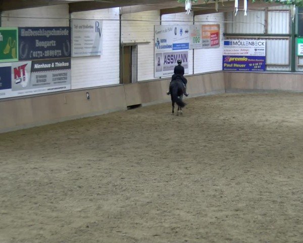 Reitturnier Rhede 2025