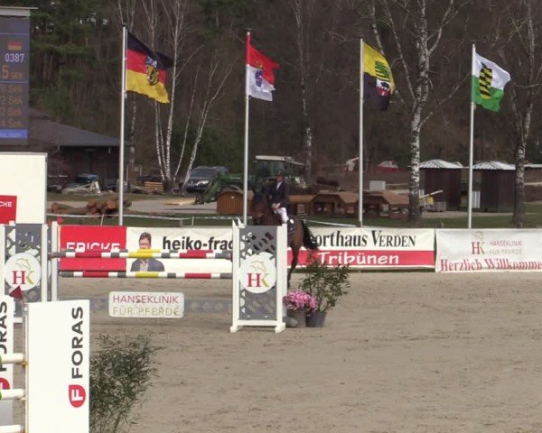 Reitturnier Westergellersen 2025
