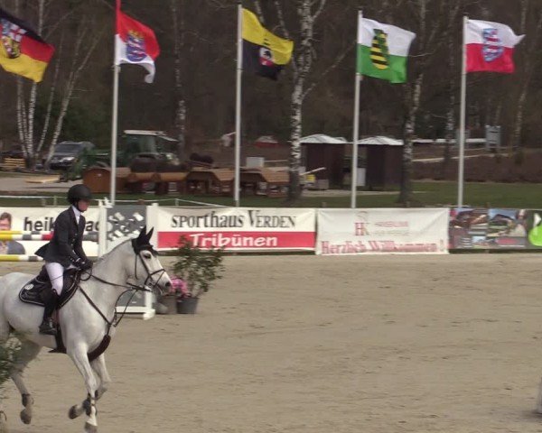 Reitturnier Westergellersen 2025