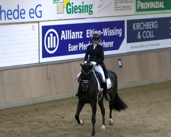 Reitturnier Rhede 2025