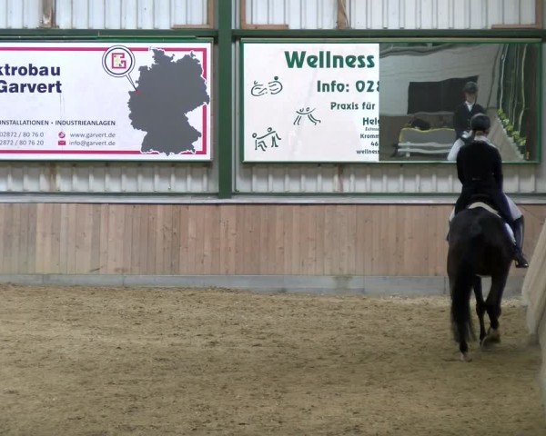 Reitturnier Rhede 2025