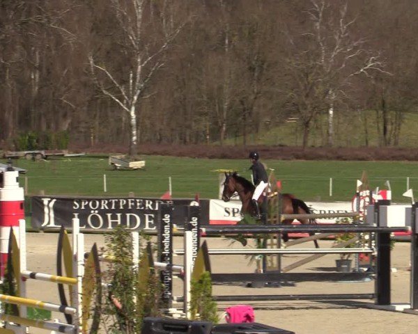 Reitturnier Westergellersen 2025