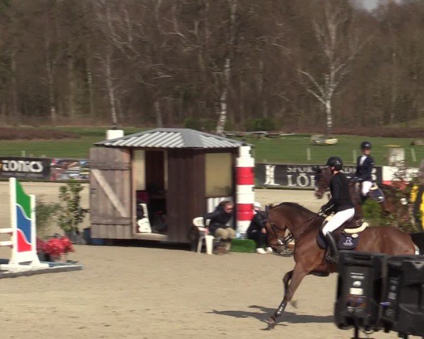 Reitturnier Westergellersen 2025