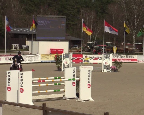 Reitturnier Westergellersen 2025