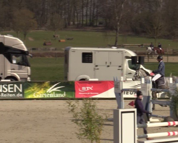 Reitturnier Westergellersen 2025