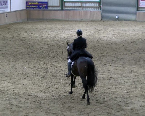 Reitturnier Rhede 2025