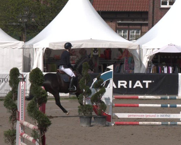 Reitturnier Werne-Lenklar 2025