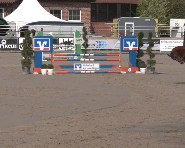 Reitturnier Werne-Lenklar 2025