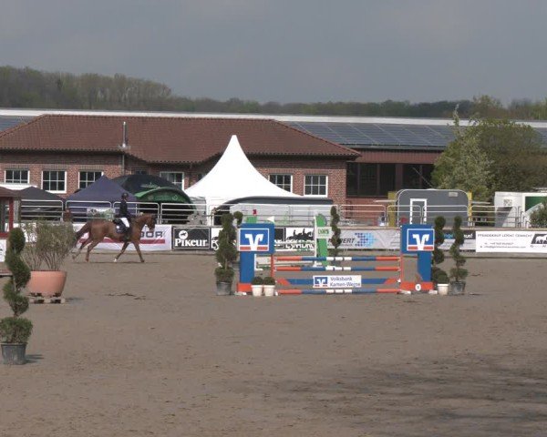 Reitturnier Werne-Lenklar 2025