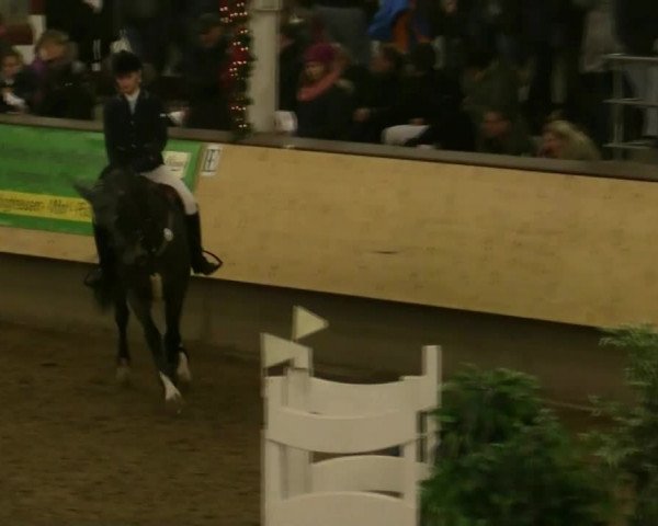 21. Großes Hallen-Springturnier 2013 - Alt Marl