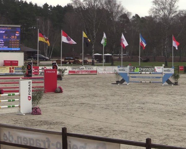Reitturnier Westergellersen 2025