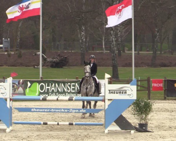 Reitturnier Westergellersen 2025