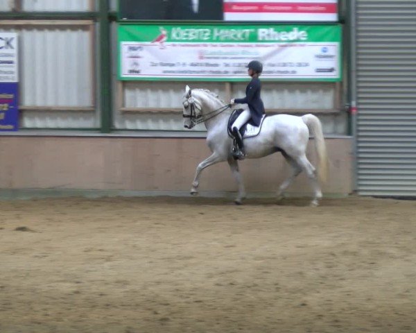 Reitturnier Rhede 2025