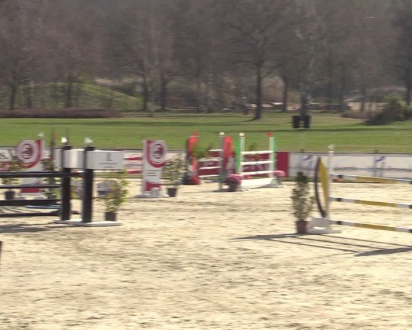Reitturnier Westergellersen 2025