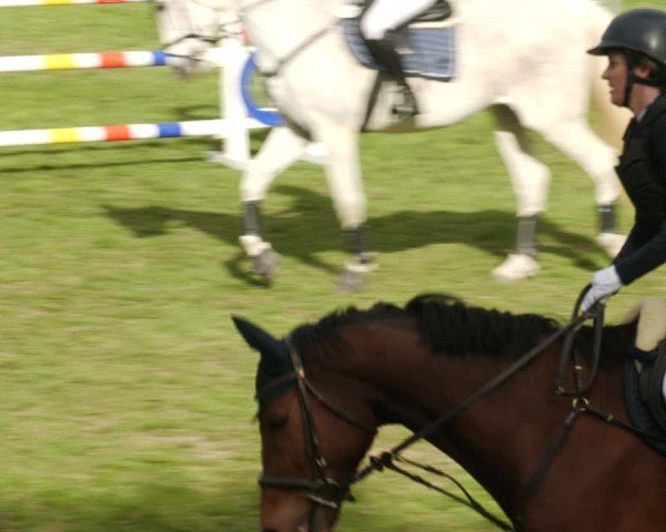 Reitturnier Meißenheim 2025