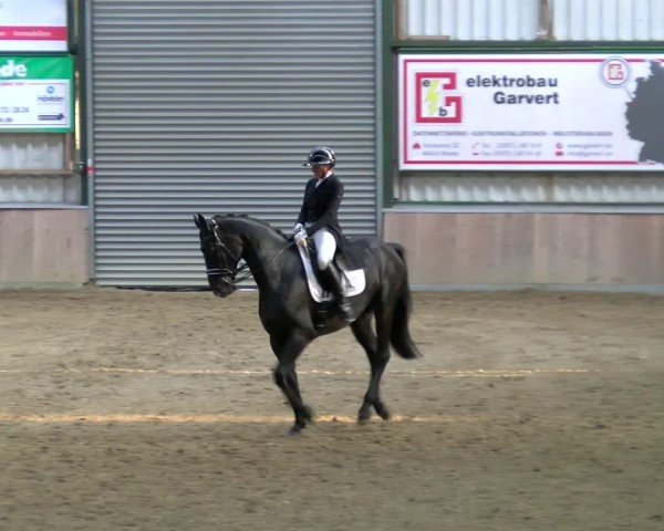 Reitturnier Rhede 2025