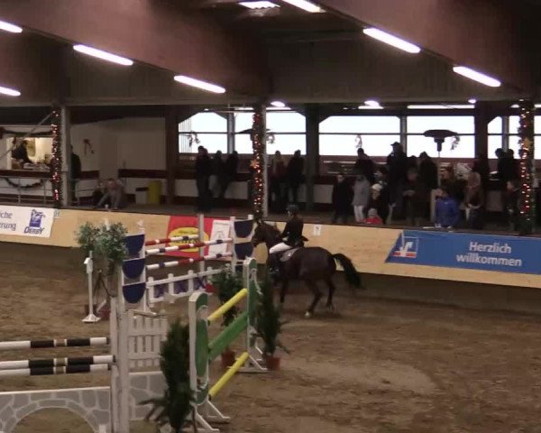 21. Großes Hallen-Springturnier 2013 - Alt Marl