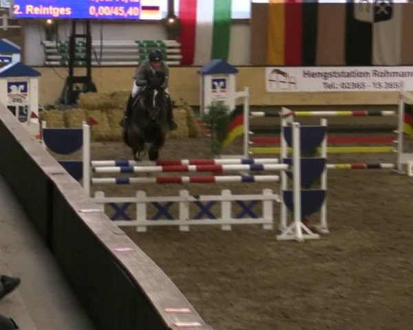 21. Großes Hallen-Springturnier 2013 - Alt Marl