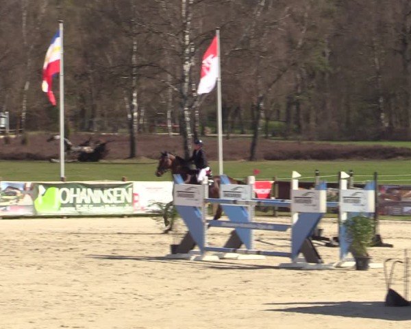 Reitturnier Westergellersen 2025