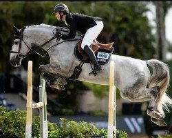 jumper Fighting Phil (Zangersheide riding horse, 2017, from Cornet Obolensky)