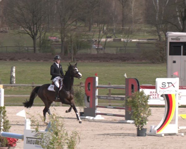 Reitturnier Westergellersen 2025