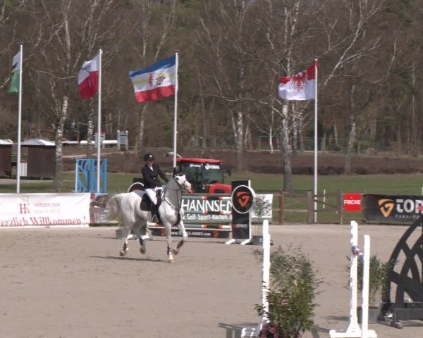 Reitturnier Westergellersen 2025