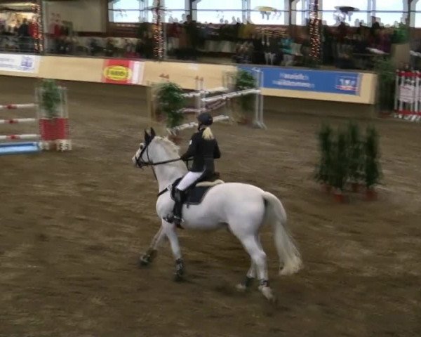 21. Großes Hallen-Springturnier 2013 - Alt Marl