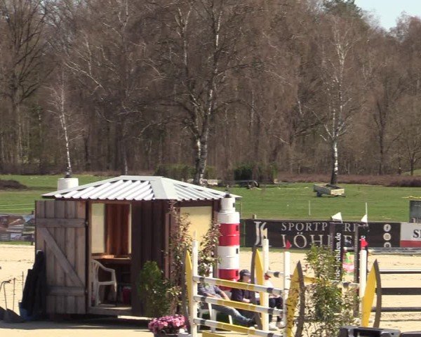 Reitturnier Westergellersen 2025