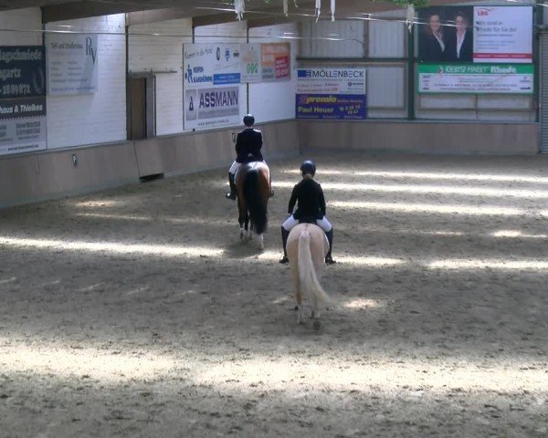 Reitturnier Rhede 2025