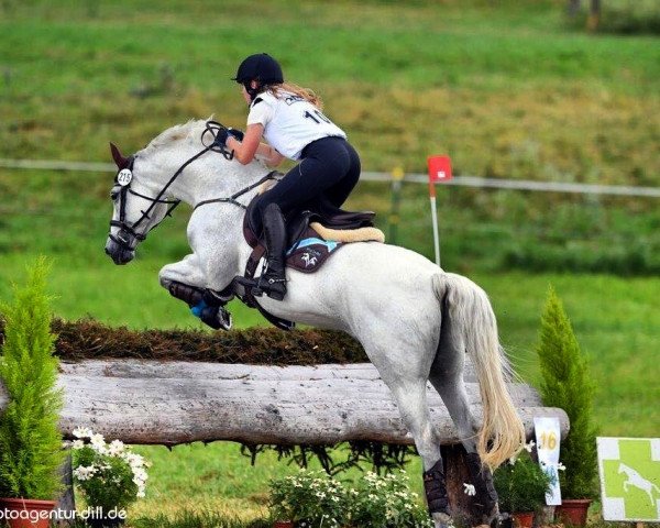 jumper Piazza di Luna (Bavarian, 2004, from Pacelli W)