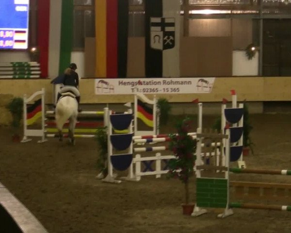 21. Großes Hallen-Springturnier 2013 - Alt Marl