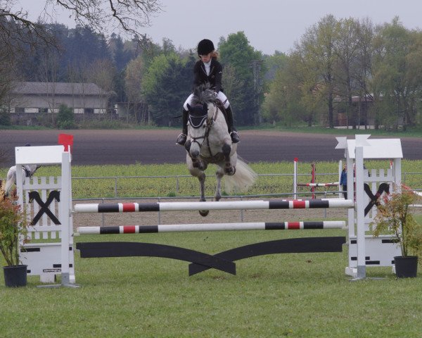 jumper Coconut Dream 4 (Bavarian, 2006, from C-Trenton Z)