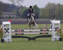 jumper Coconut Dream 4 (Bavarian, 2006, from C-Trenton Z)