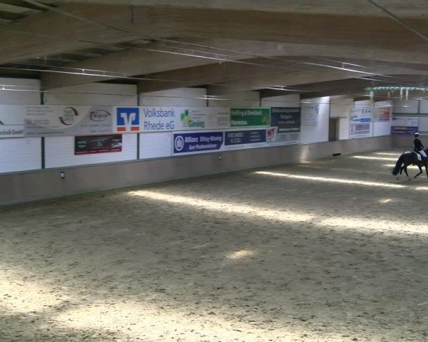 Reitturnier Rhede 2025