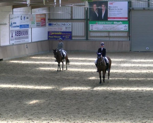 Reitturnier Rhede 2025
