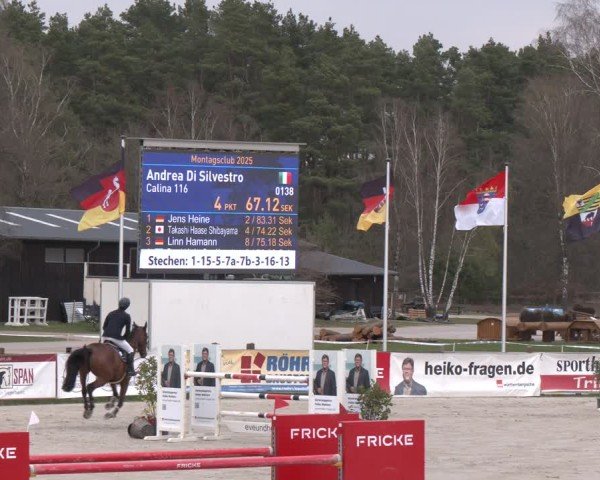 Reitturnier Westergellersen 2025