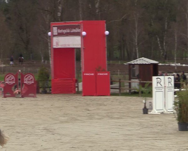 Reitturnier Westergellersen 2025