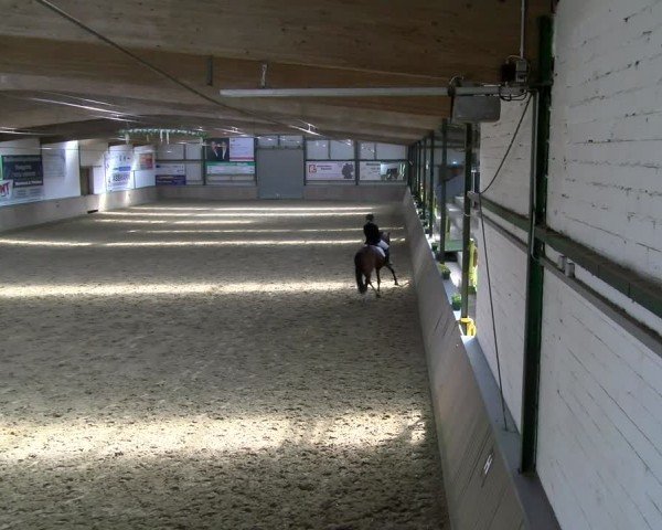 Reitturnier Rhede 2025