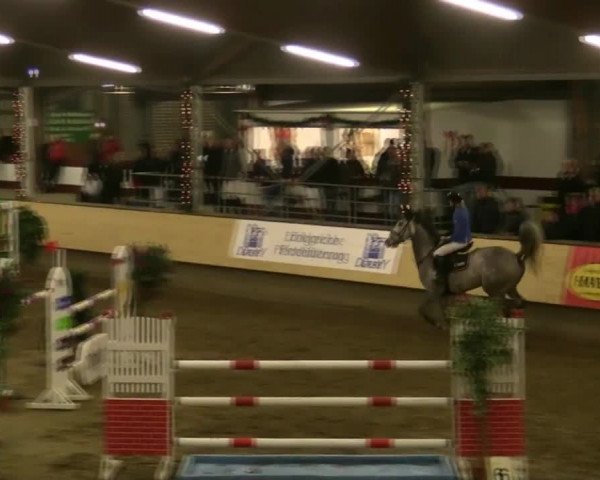 21. Großes Hallen-Springturnier 2013 - Alt Marl