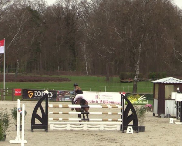 Reitturnier Westergellersen 2025