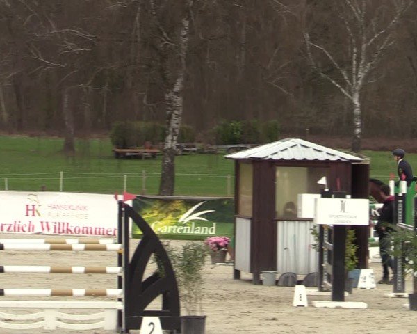 Reitturnier Westergellersen 2025