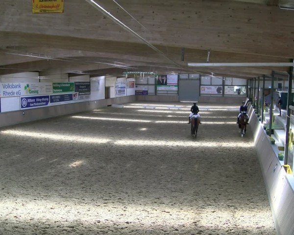 Reitturnier Rhede 2025