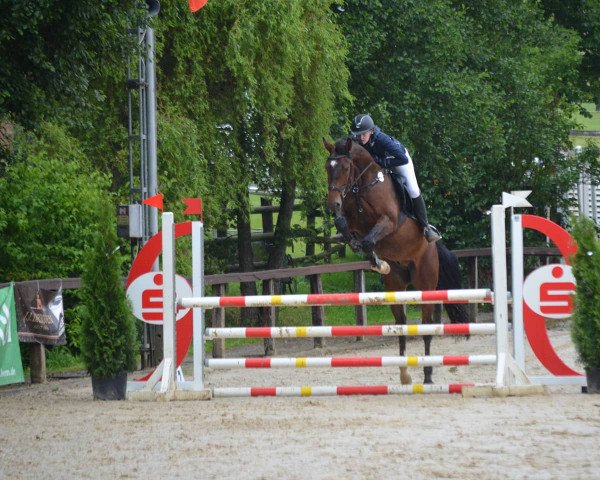 jumper Can Do 14 (Oldenburg show jumper, 2016, from Casalido)