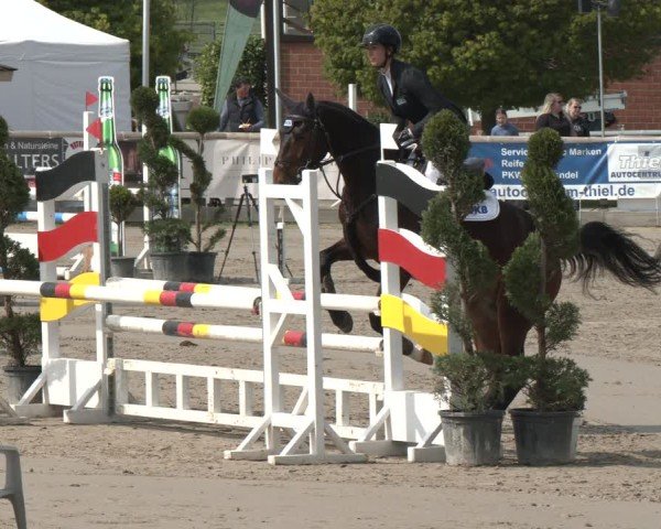 Reitturnier Werne-Lenklar 2025