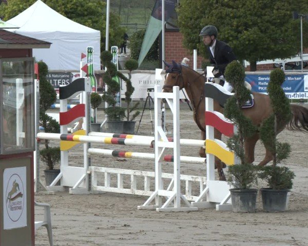 Reitturnier Werne-Lenklar 2025